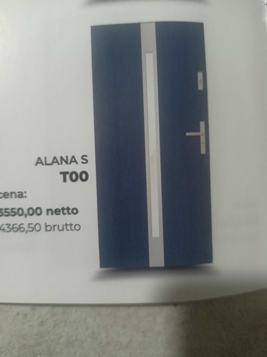 Drzwi metalowe przeszklone