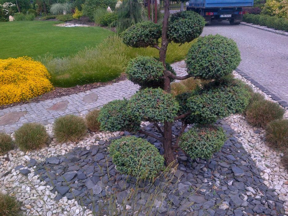 Usługi ogrodnicze Zakładnie ogrodów