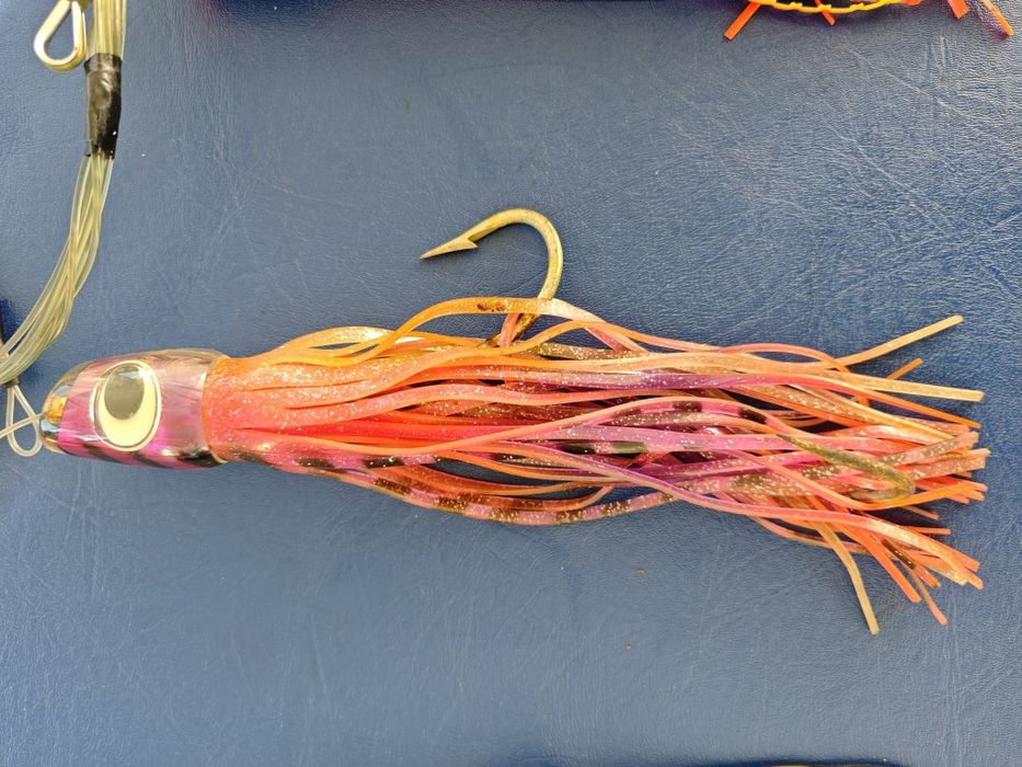 Amostras pesca curricar atum espadarte ....