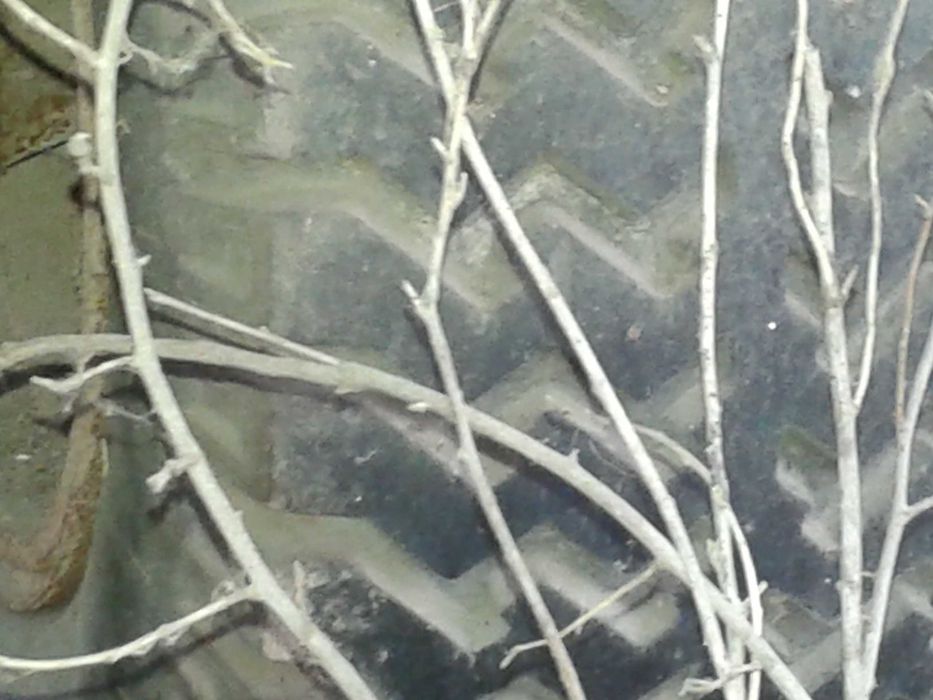 Прицеп тракторный одноосный