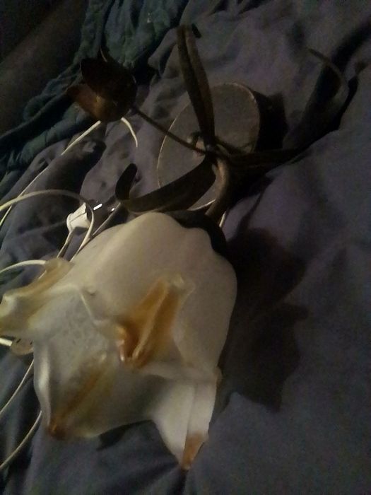 Светильник настенный