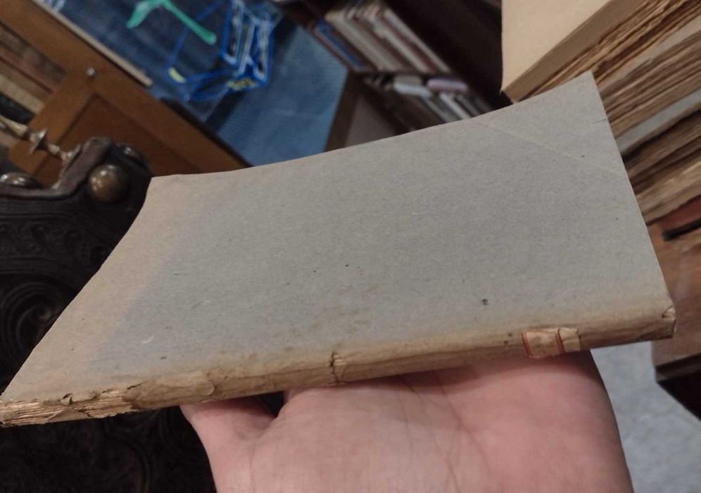 A Mulher sua Infância, educação e influencia na Sociedade S. de Frias