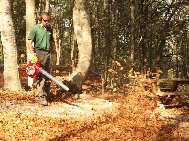 Soprador  3000 EFCO NOVO