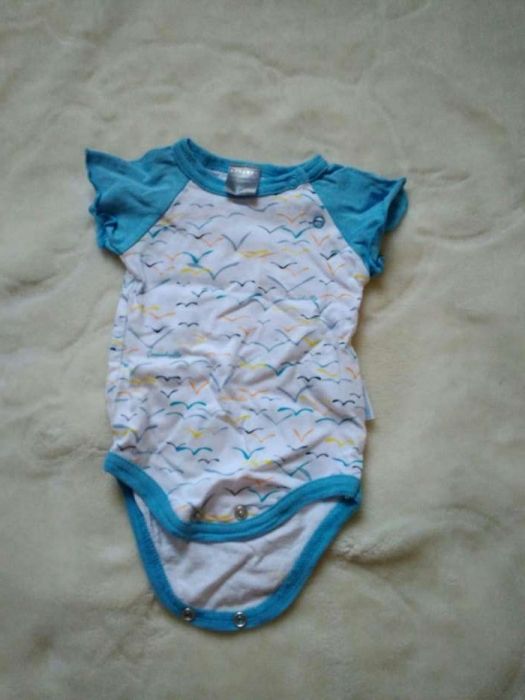 Body Coccodrillo