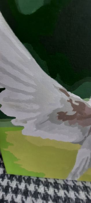 Продам картину по номерам/голуби