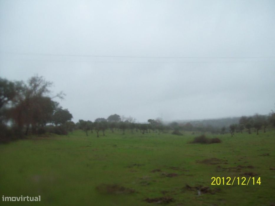 Herdade do Monte da Pedra.