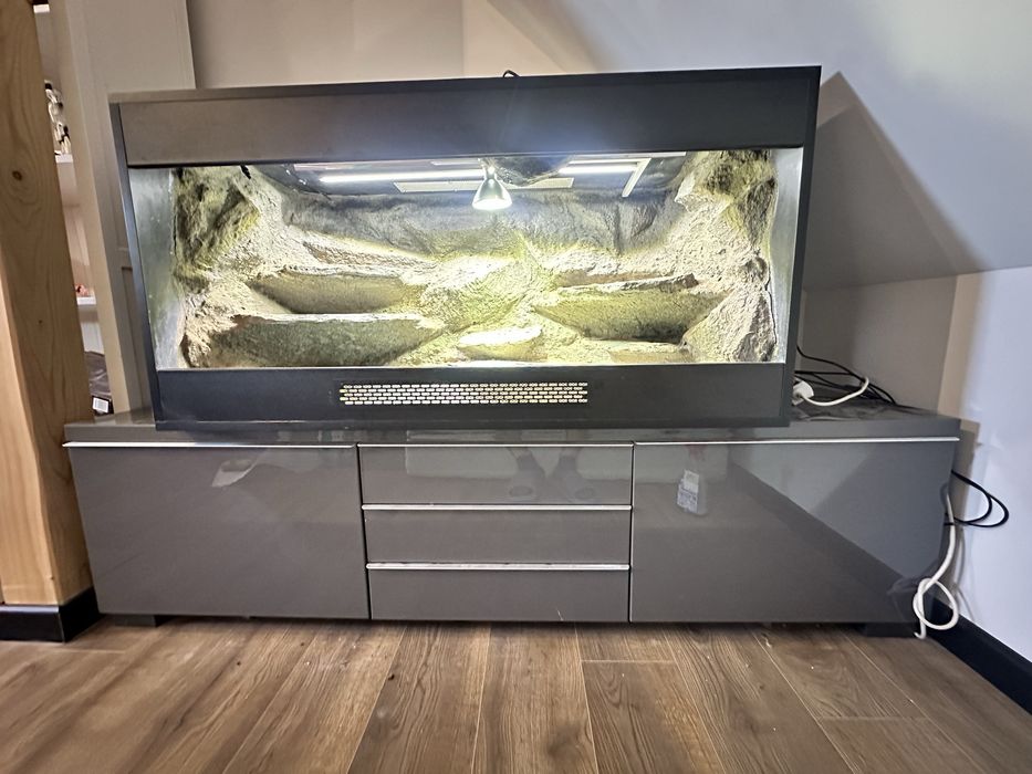 Terarium agama btodata całe wyposażenie