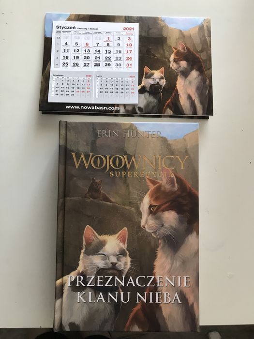 Wojownicy erin hunter przeznaczenie klanu nieba