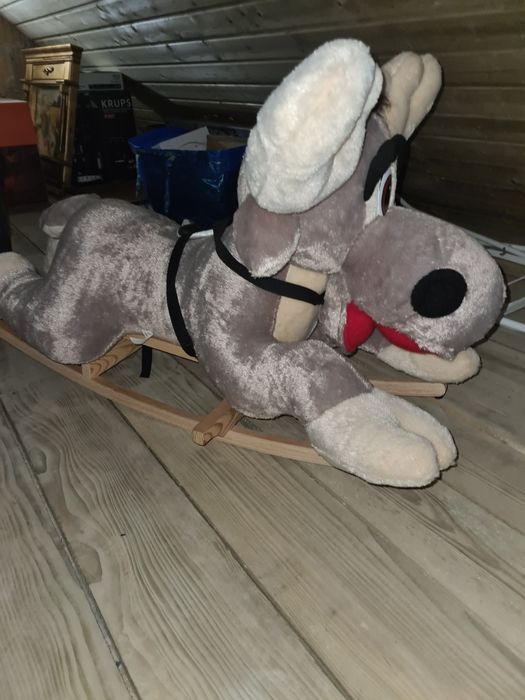 Renifer na biegunach