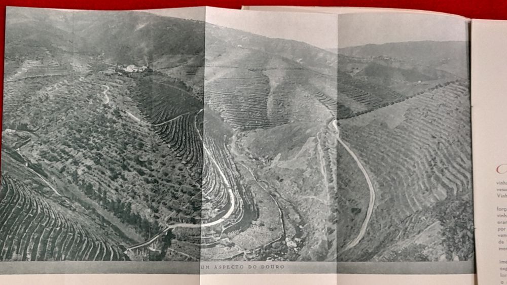 2 Livros Instituto do  Vinho do Porto