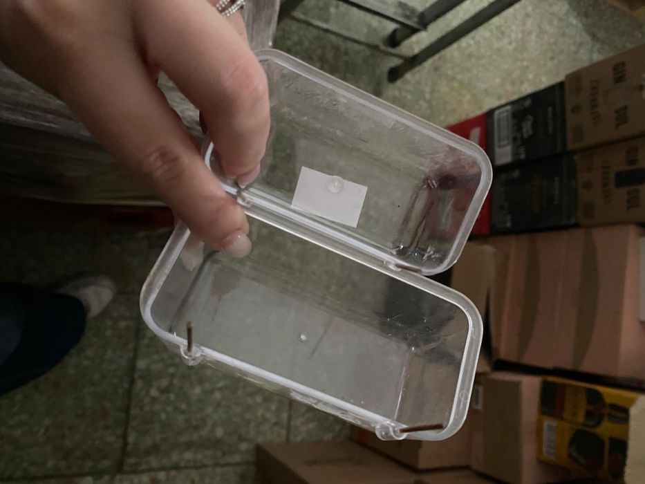 Acessórios para Pássaros – Canários e Outras Aves de Pequeno Porte