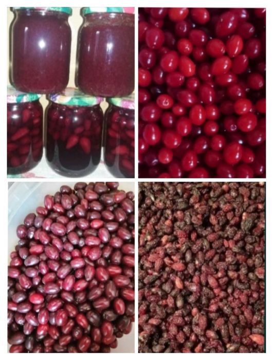 Приму в дар консервацию.