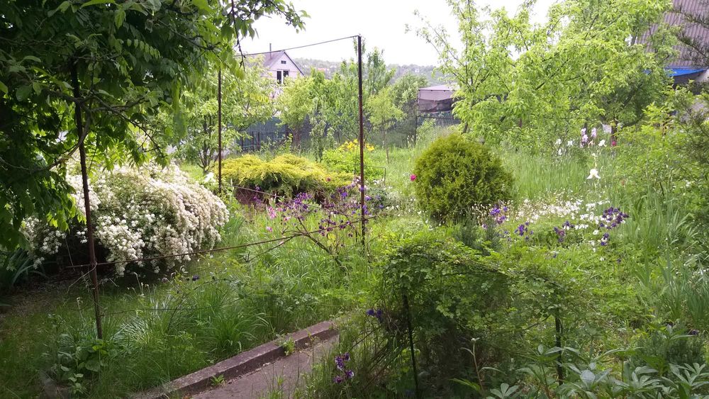 Продам Дачу в с.Червоний Садок