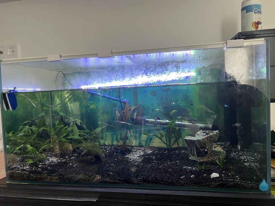 Aquaria 0,80 x 0,40