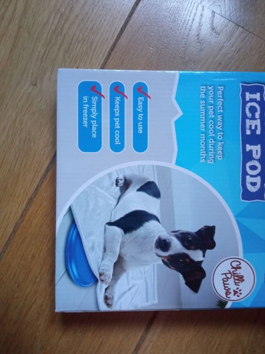 Dysk chłodzący dla psa