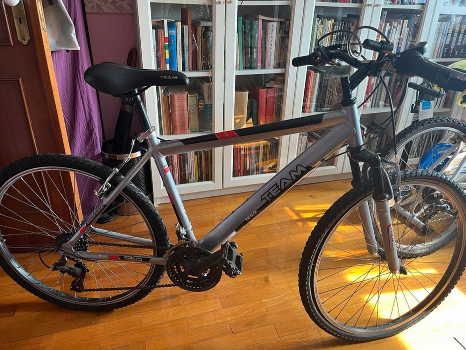 Bicicleta Team Branca