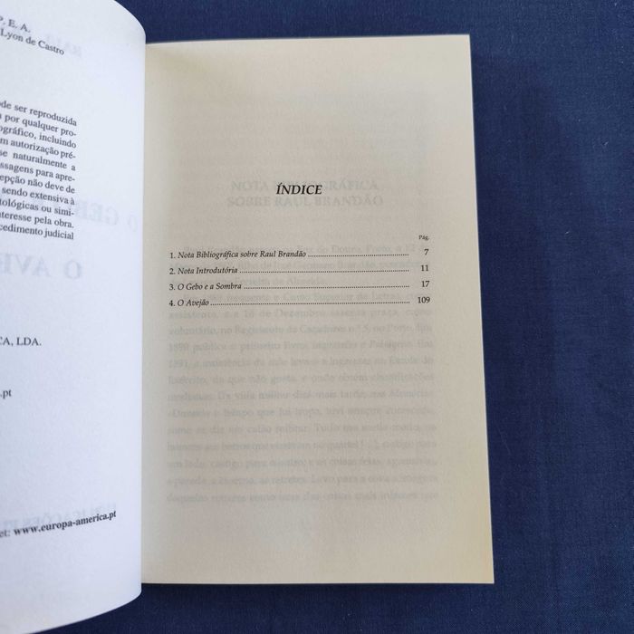 Raul Brandão - O Gebo e a Sombra e O Avejão