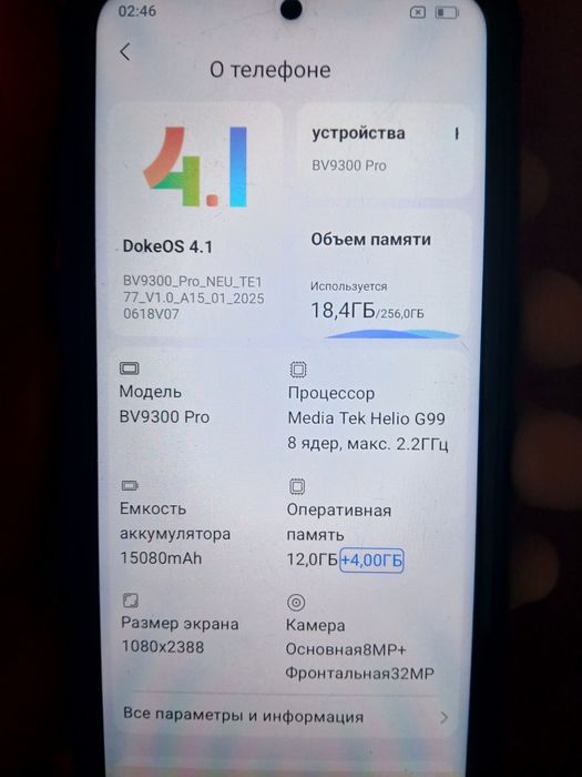 Black view BV9300 Pro.