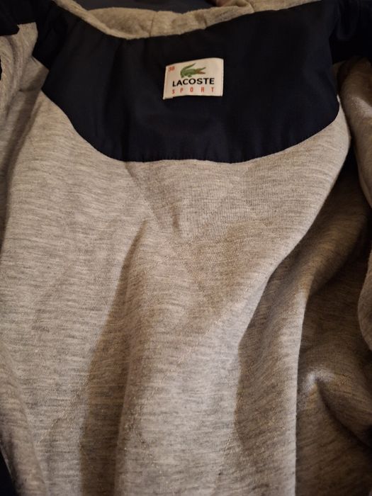 Blusão/Parka  Lacoste