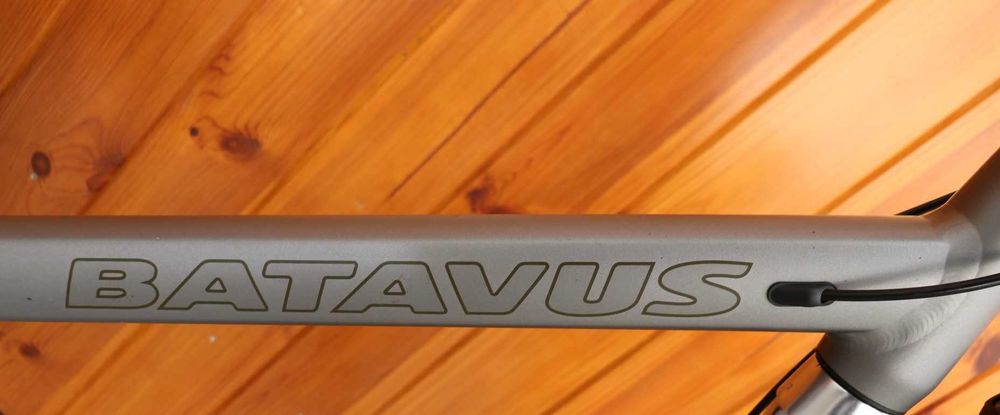 Rower męski Batavus  DINS DAG H 65 I inne rowery