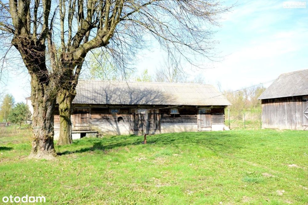 Zdjęcie 6