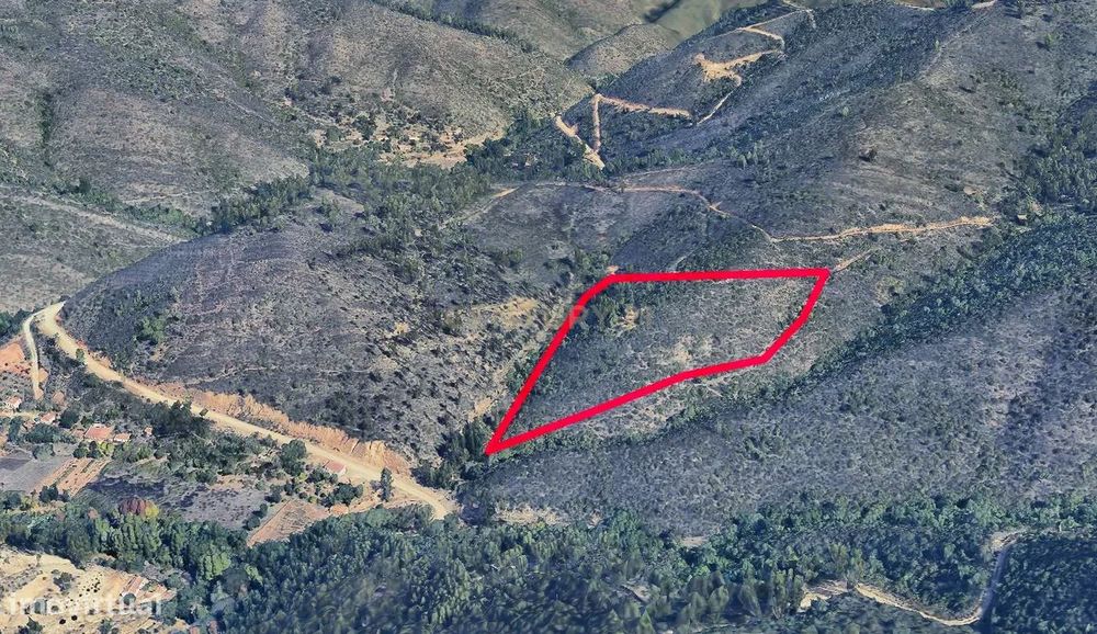 Terreno de Medronheiros para Venda na Serra de Monchique – O seu futur — Monchique, Faro