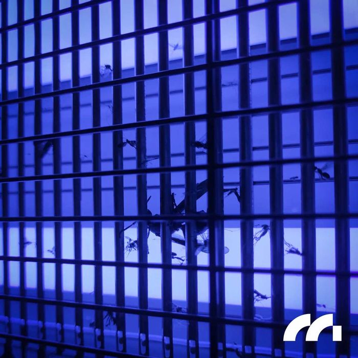 Инсектицидная лампа 20W, Лампа для знищення комах 20 Вт 150 м²