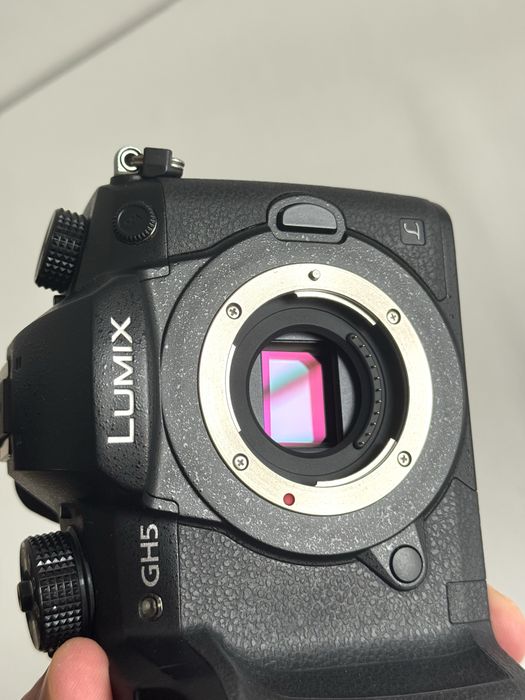Panasonic Lumix GH5 Body + додатковий акум