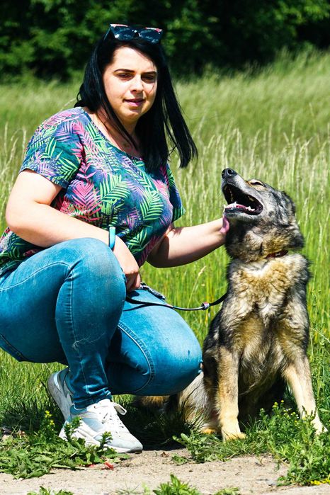 GUTEK - wesoły psiak szuka domu