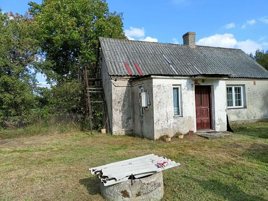 Zdjęcie 8