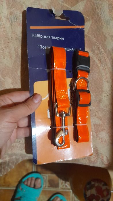 Ошейник и поводок для собак