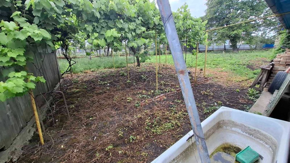 продаж будинок с. Товтри, Заставна