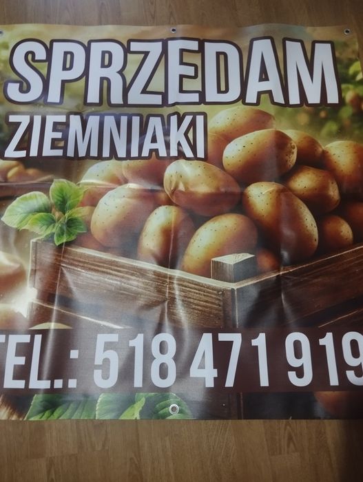 Ziemniaki młode Vineta, otolia, Jurek, lord