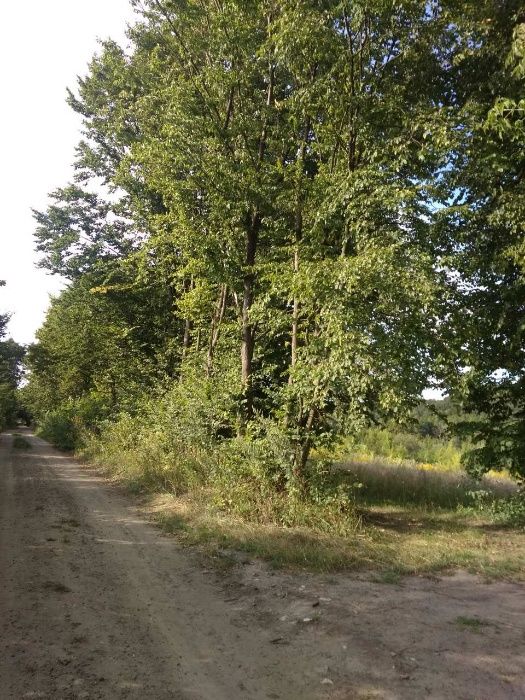 Ділянка Пашковецька сільська рада