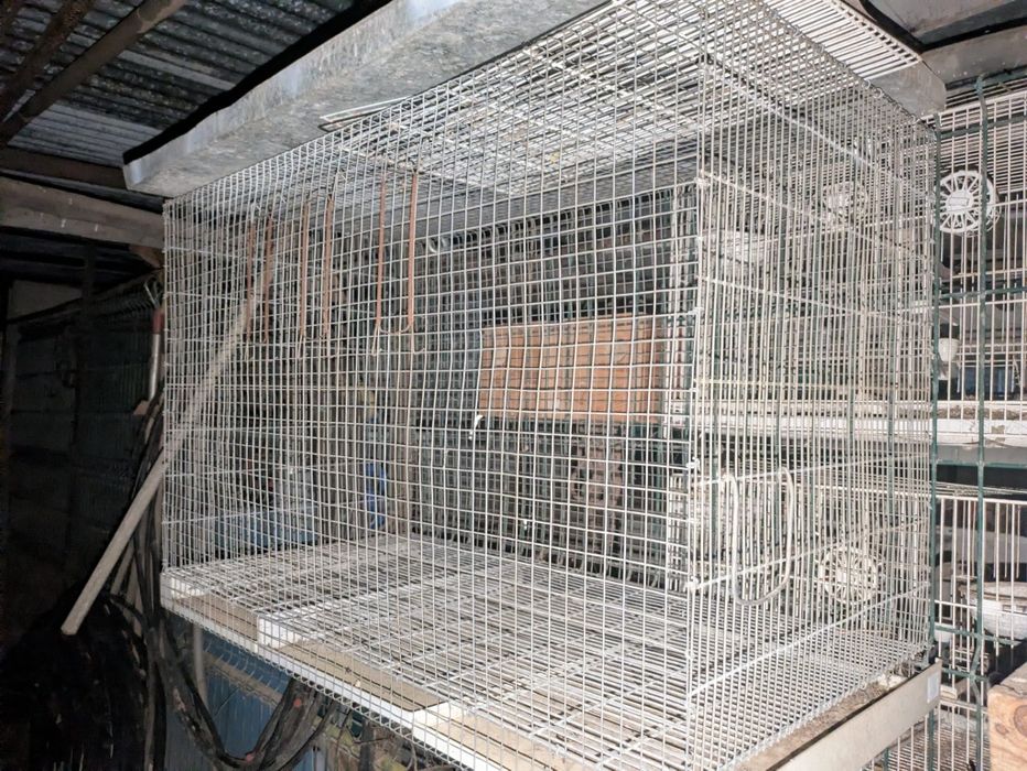 Gaiolas em segunda mão