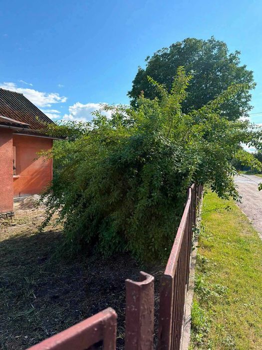 Будинок в Кременці