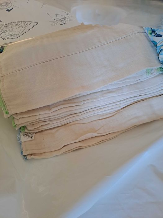 Fraldas reutilizáveis da Seedling Baby e da Bear Bott