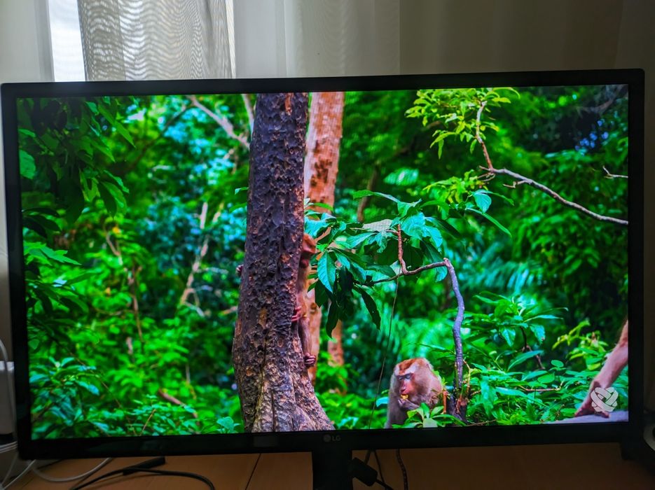 Монитор LG 24MP59G-P 75 ГЦ