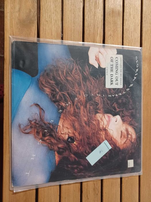 Discos Vinil Gloria Estefan