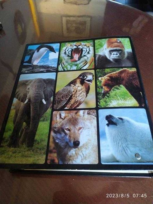 Для школьников. В мире дикой природы. Красочный альбом.