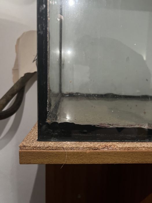 Aquário, Móvel e Filtro