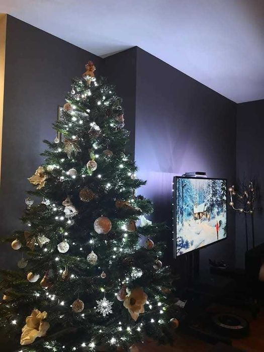 Wyjątkowa nieruchomość – 79,3 m²