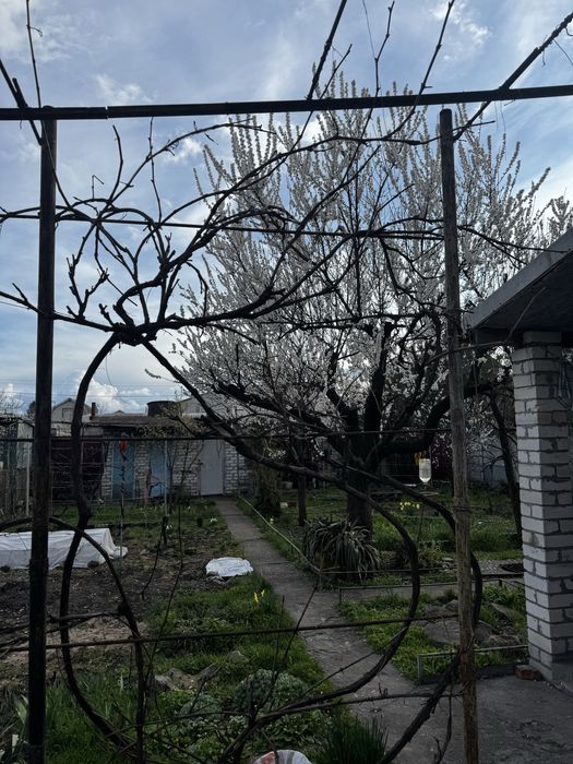 Продам Дача- Дом , А/О- Газ Куриловка с/о Ориль ,Камянское 2.5 км.