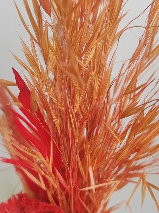 Vaso Encanto Carmesim