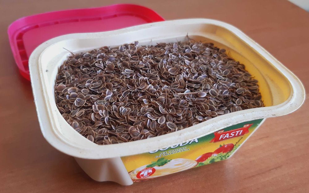 Koper nasiona 1 opakowanie