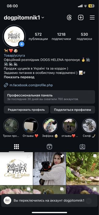 Детки кавапу ) в продаже
