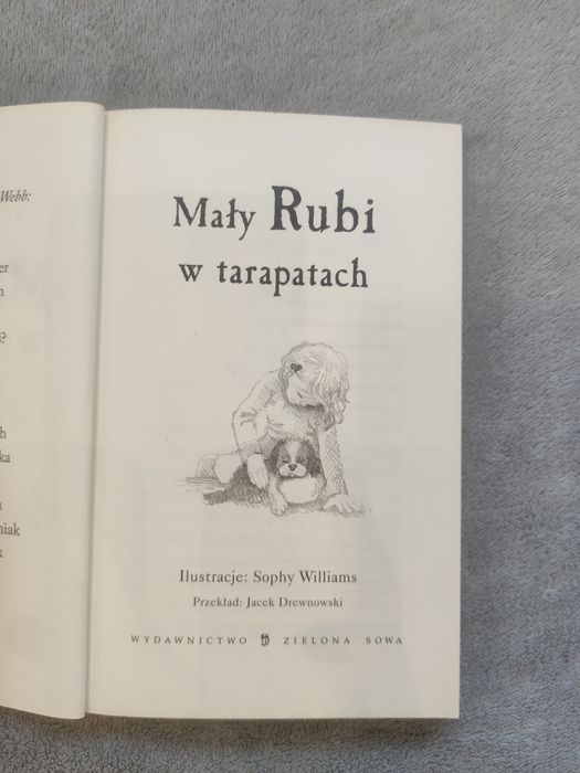 Mały Rubi w tarapatach – Holly Webb (Zielona Sowa) Rabat przy kilku