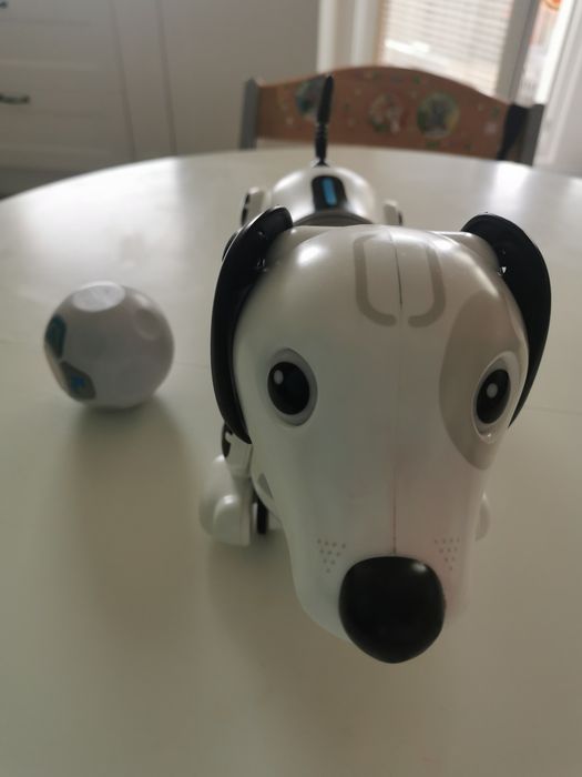 Robo Dackel piesek jamniczek