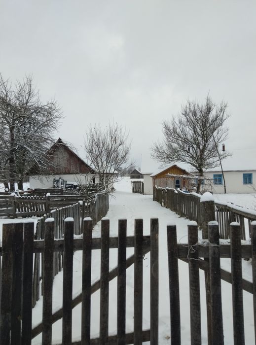 Продам будинок с. Несолонь Звягельський р-н