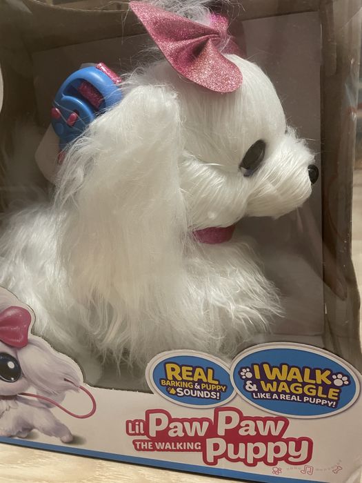 PetsAlive Zuru Szczeniak chodzący